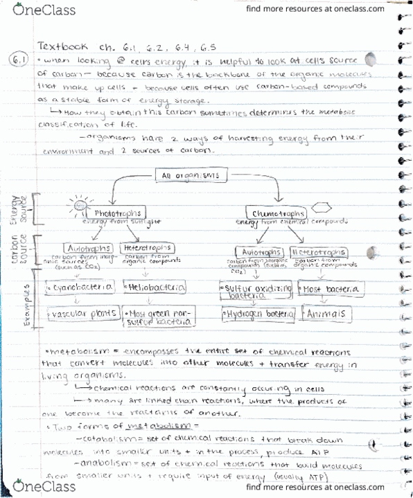 BIOLOGY 151 Chapter 6.1-6.5: bio textbook 6.1-6.5 thumbnail