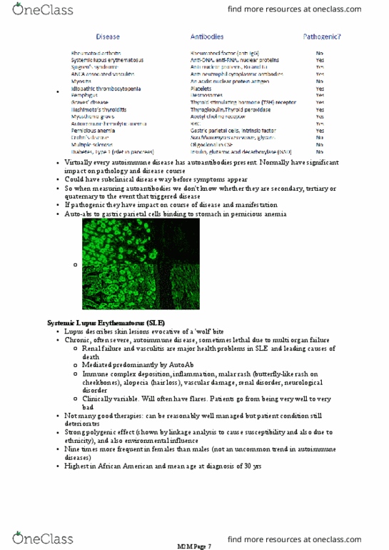 BIOM30002 Lecture Notes - Lecture 30: Systemic Lupus Erythematosus, Malar Rash, Pernicious Anemia thumbnail
