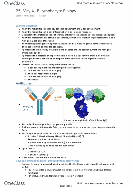 BIOM30002 Lecture Notes - Lecture 25: Gamma Globulin, Adaptive Immune System, Disulfide thumbnail