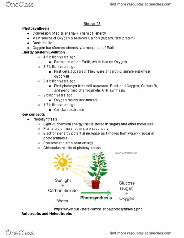 BIO SCI 93 Lecture Notes - Lecture 13: Cellular Respiration, Chemiosmosis, Radiant Energy cover image