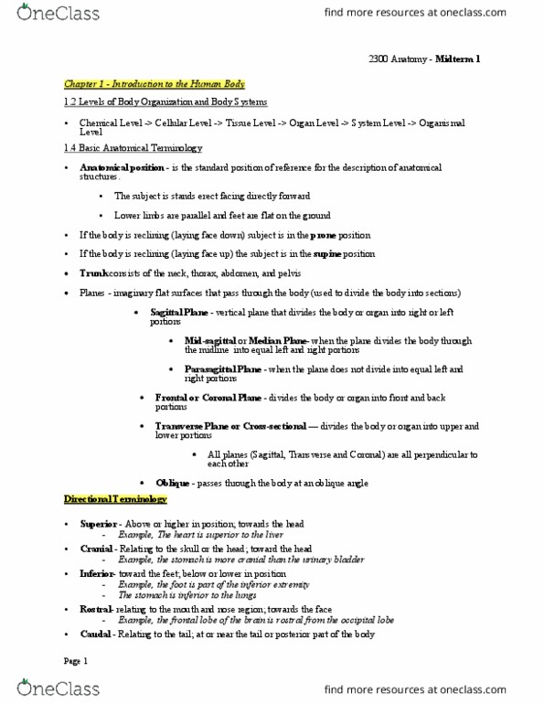 Health Sciences 2300A/B Chapter Notes - Chapter 1: Frontal Lobe, Occipital Lobe, Supine Position thumbnail