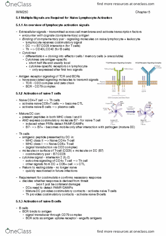 IMM250H1 Chapter Notes - Chapter 5: Naive T Cell, Mhc Class I, Cd28 thumbnail