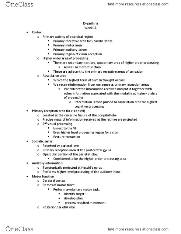 SPA 3101 Lecture Notes - Lecture 20: Postcentral Gyrus, Calcarine Sulcus, Auditory Cortex thumbnail