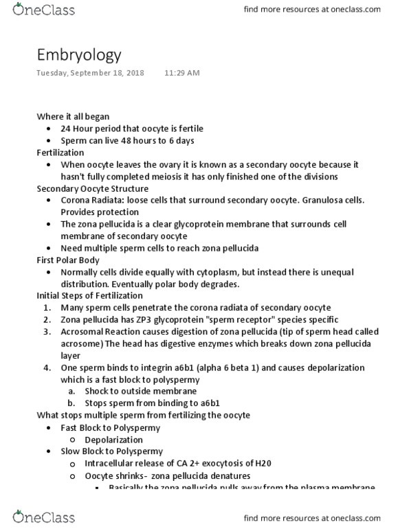 KINESIOL 1Y03 Lecture Notes - Lecture 2: Zona Pellucida, Zp3, Polyspermy thumbnail