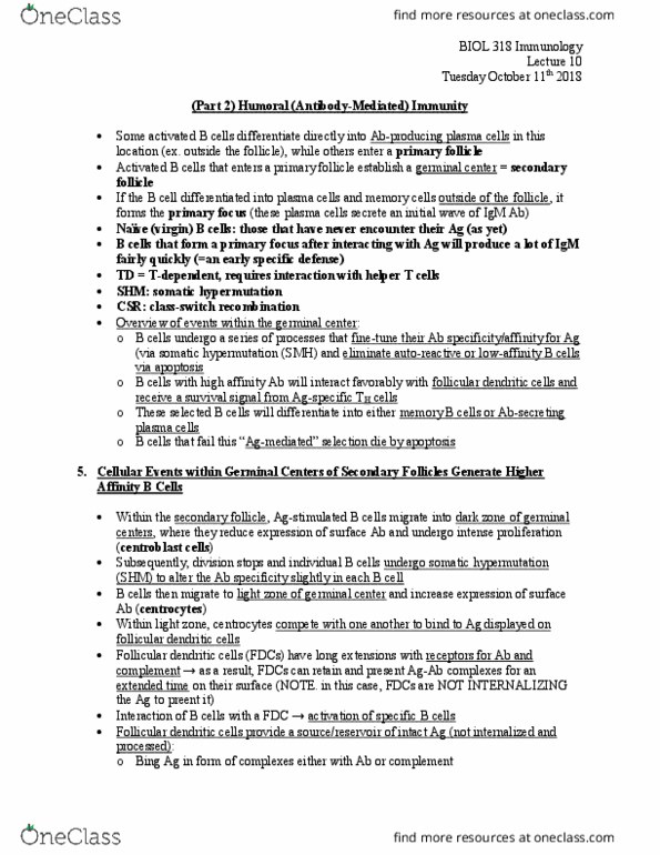 BIOL 318 Lecture Notes - Lecture 10: Follicular Dendritic Cells, Germinal Center, Somatic Hypermutation thumbnail