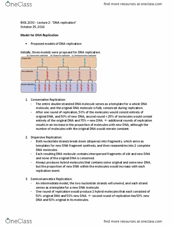 BIOL 2030 Lecture Notes - Lecture 2: Dna Replication, Semiconservative Replication, Crich thumbnail