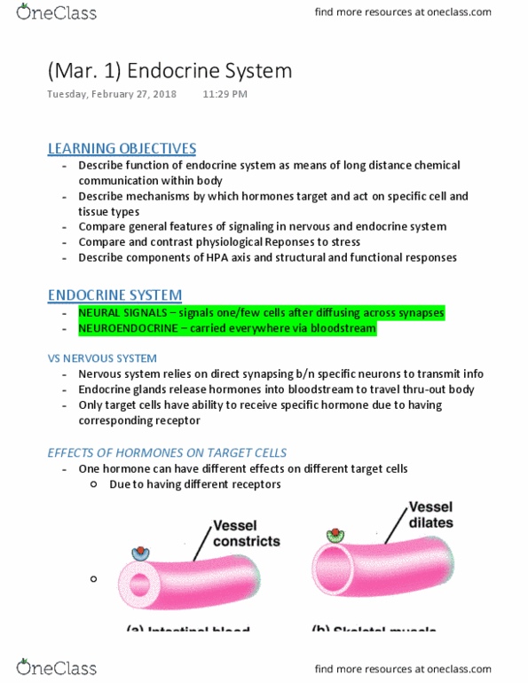 BISC 101 Lecture Notes - Lecture 12: Endocrine System, Releasing And Inhibiting Hormones, Anterior Pituitary thumbnail