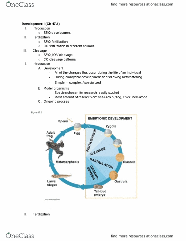 01:119:116 Lecture Notes - Lecture 16: Sea Urchin, Metaphase, External Fertilization thumbnail