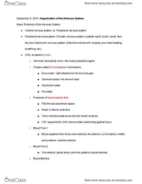 BCS 110 Lecture Notes - Lecture 2: Posterior Spinal Artery, Anterior Spinal Artery, Posterior Cerebral Artery thumbnail