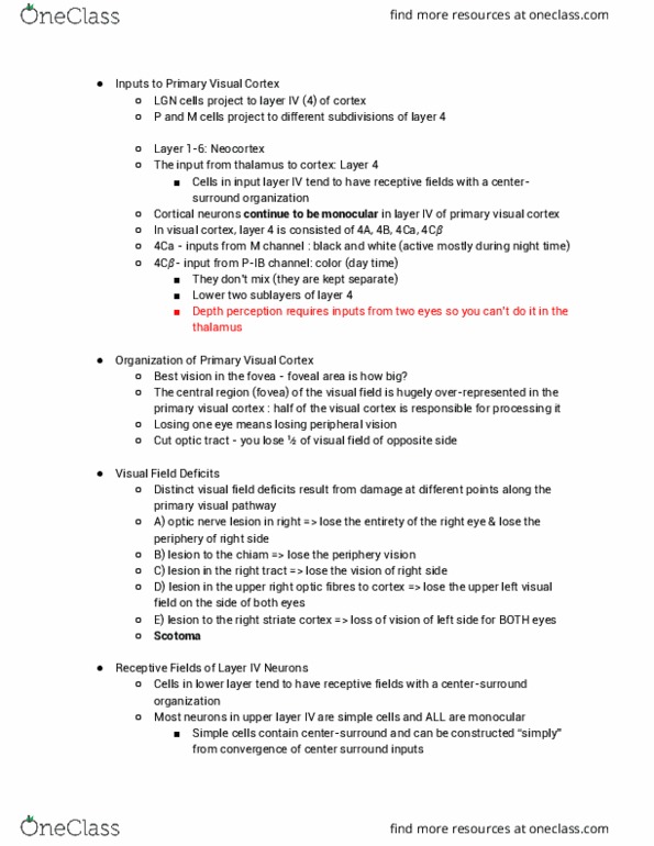 BCS 110 Lecture Notes - Lecture 12: Visual Cortex, Peripheral Vision, Simple Cell thumbnail