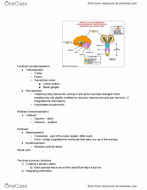 GE CLST 73A Lecture Notes - Lecture 1: Basal Ganglia, Forebrain, Myelencephalon thumbnail