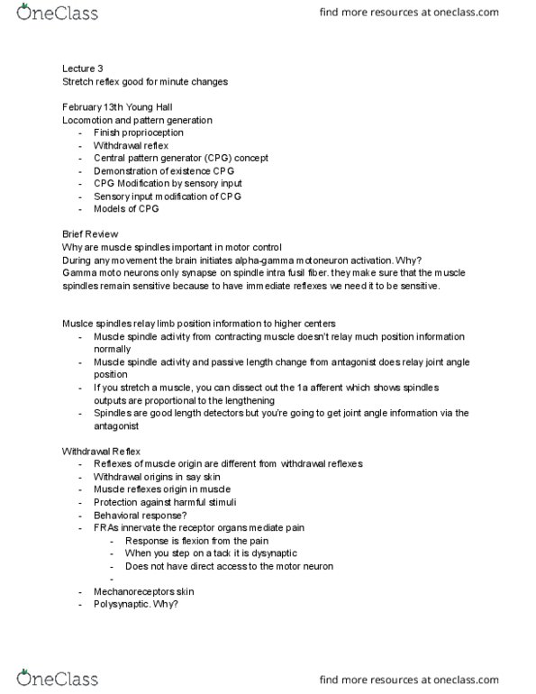 GE CLST 73B Lecture Notes - Lecture 8: Central Pattern Generator, Muscle Spindle, Withdrawal Reflex thumbnail