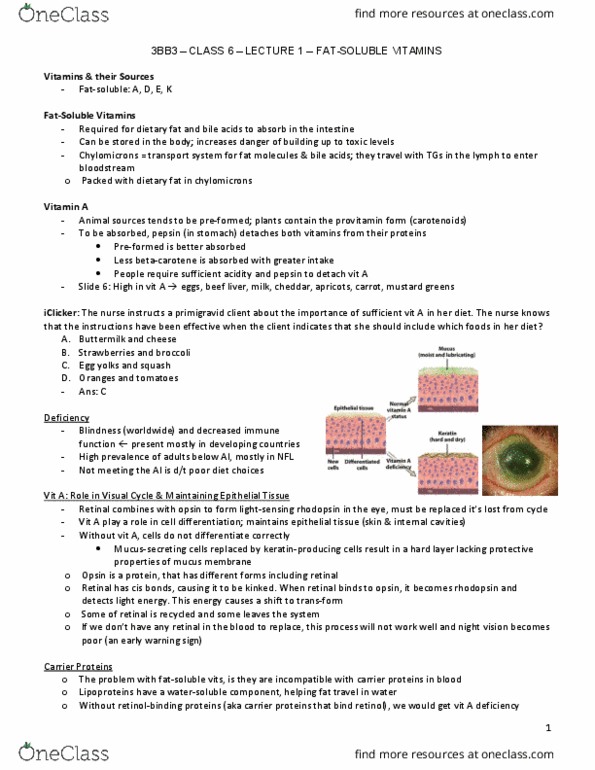 HTHSCI 3BB3 Lecture Notes - Lecture 6: Immunosuppression, Brassica Juncea, Visual Phototransduction thumbnail