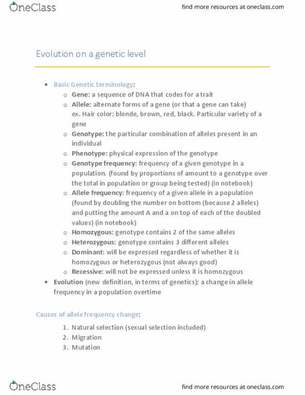 BIOL 01104 Lecture Notes - Lecture 8: Genotype Frequency, Allele Frequency, Human Hair Color thumbnail