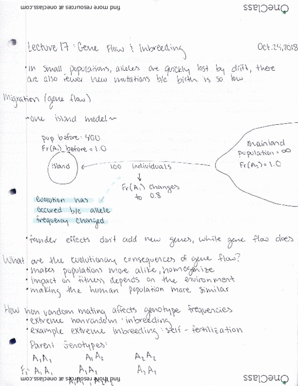 BIOL 180 Lecture Notes - Lecture 17: Inbreeding cover image