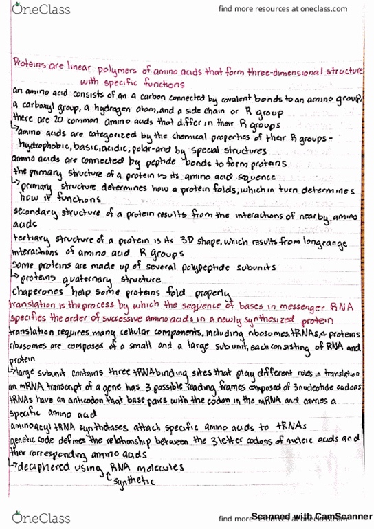 BIOLOGY 151 Chapter 4: chapter 4 notes thumbnail