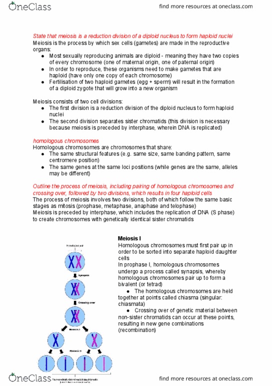 CAS BI 107 Lecture Notes - Lecture 2: Sister Chromatids, Meiosis, Centromere thumbnail