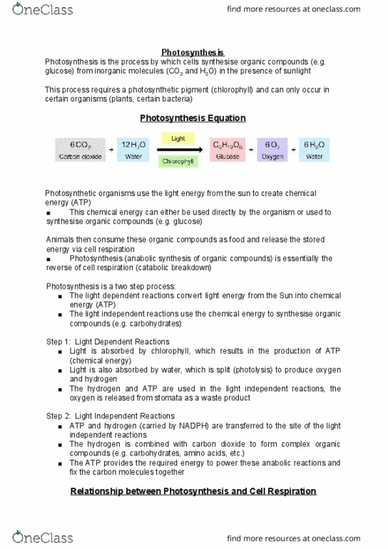 CAS BI 107 Lecture Notes - Lecture 4: Photosynthetic Pigment, Cellular Respiration, Photodissociation thumbnail