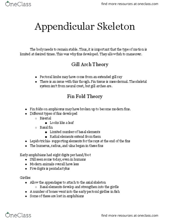 BIO 357 Lecture Notes - Lecture 10: Axial Skeleton, Neural Crest, Ulna thumbnail