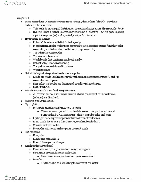 CAS BI 105 Lecture Notes - Lecture 3: Electric Field, Chemical Polarity, Hydrogen Bond thumbnail