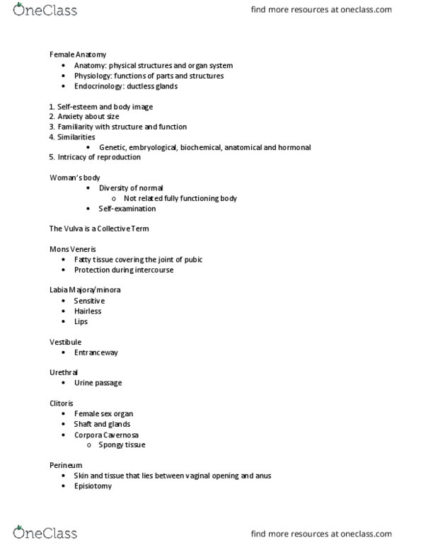 HTH 372 Lecture Notes - Lecture 2: Episiotomy, Perineum, Vulva thumbnail