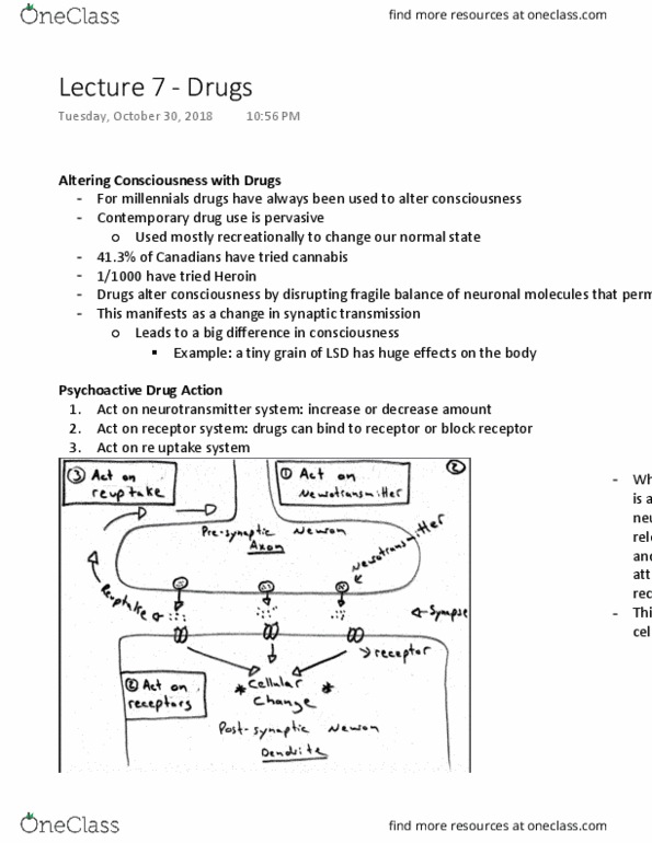 document preview image