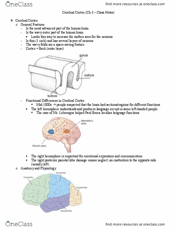 document preview image