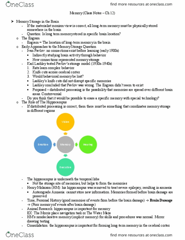 PSYC 3365 Lecture Notes - Lecture 9: Karl Lashley, Long-Term Memory, Cerebral Cortex thumbnail