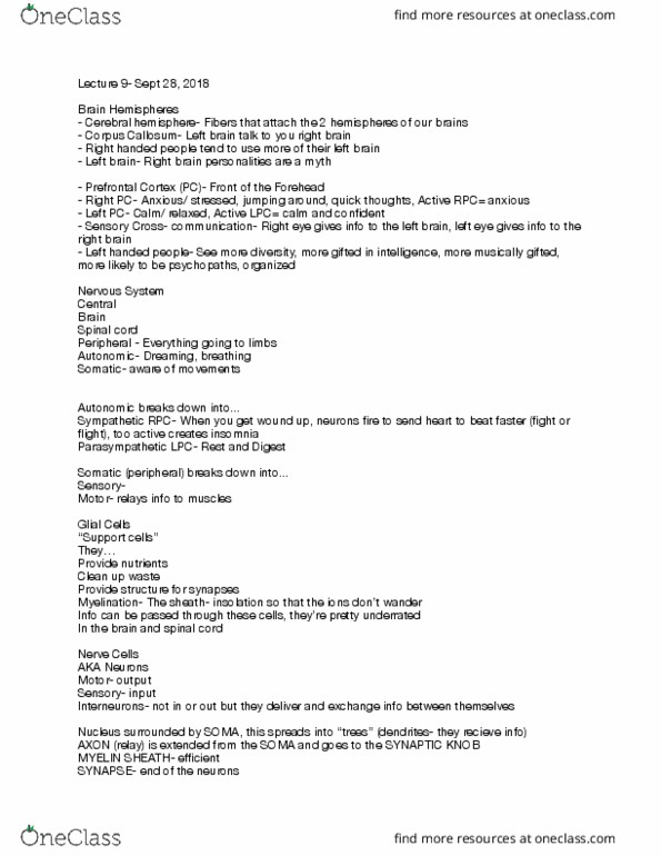 PSYC 200 Lecture Notes - Lecture 9: Cerebral Hemisphere, Spinal Cord, Solar Irradiance thumbnail