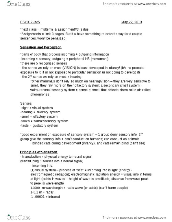 BIO342H5 Lecture Notes - Lecture 5: Fetus, Saccade, Occipital Lobe thumbnail