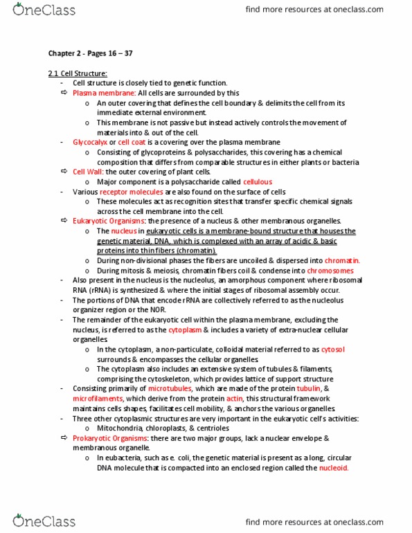 PLS 312 Lecture Notes - Lecture 1: Nucleolus Organizer Region, Nuclear Membrane, Cell Nucleus thumbnail