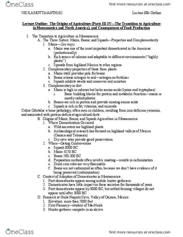 ANTH 102 Lecture Notes - Lecture 8: Iron-Deficiency Anemia, Guil, Tryptophan thumbnail