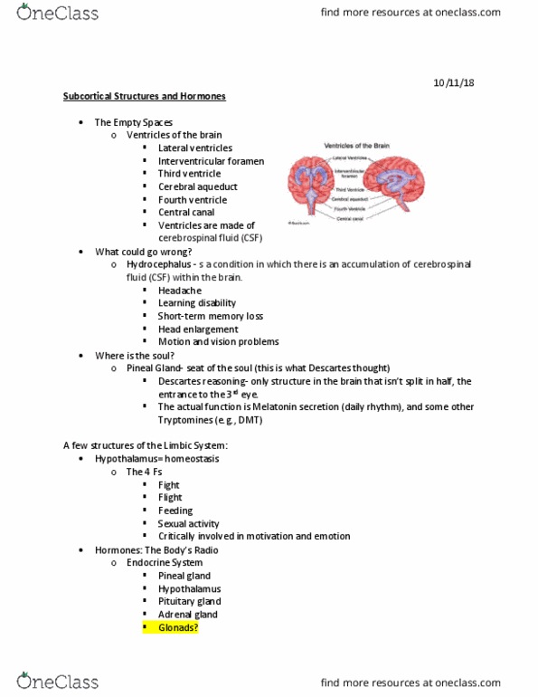 PSYC 110 Lecture Notes - Lecture 14: Pineal Gland, Fourth Ventricle, Adrenal Gland thumbnail