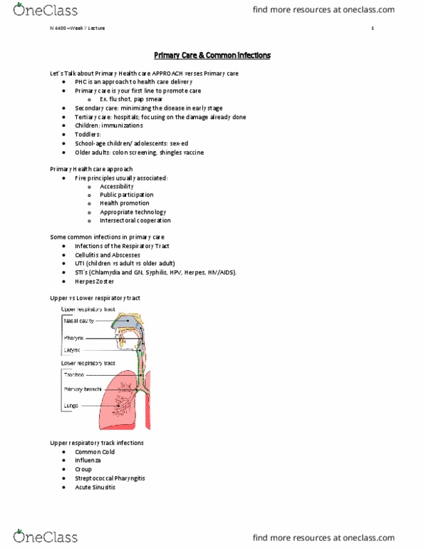 Nursing 4400A/B Lecture Notes - Lecture 7: Zoster Vaccine, Influenza Vaccine, Health Care thumbnail