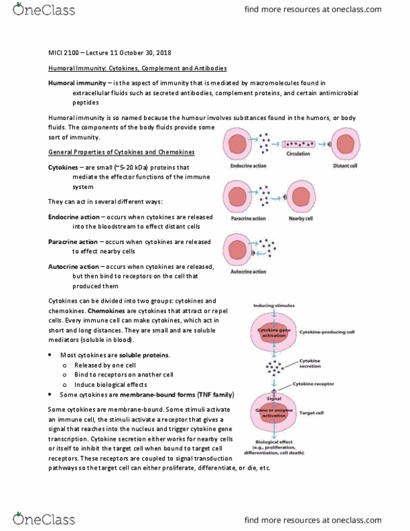 MICI 2100 Lecture Notes - Lecture 11: Chemokine Receptor, Humoral Immunity, Chemokine thumbnail