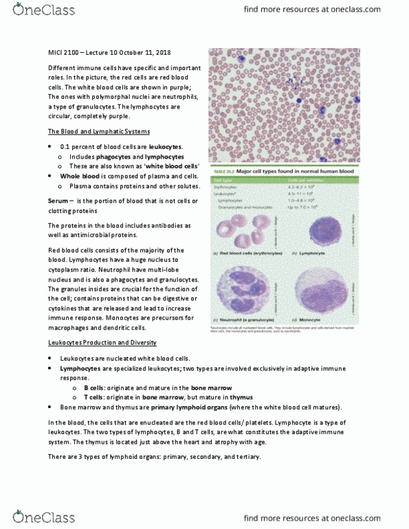 MICI 2100 Lecture Notes - Lecture 10: White Blood Cells (Album), Red Blood Cell, Adaptive Immune System thumbnail