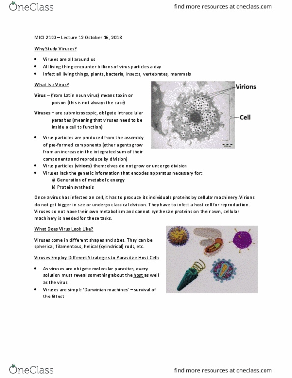 MICI 2100 Lecture Notes - Lecture 12: Intracellular Parasite, Fetus, Serial Dilution thumbnail