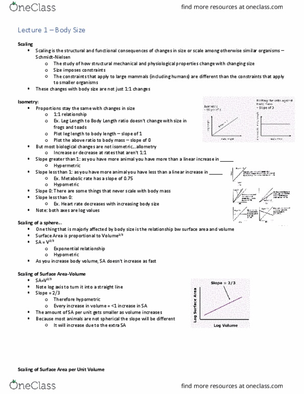Biology 3601A/B Lecture Notes - Lecture 1: Isometry, Heart Rate, Negative Relationship thumbnail