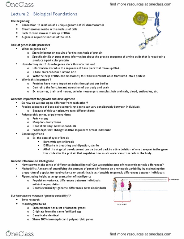 Psychology 2040A/B Lecture Notes - Lecture 2: Genetic Variability, Base Pair, Body Plan thumbnail