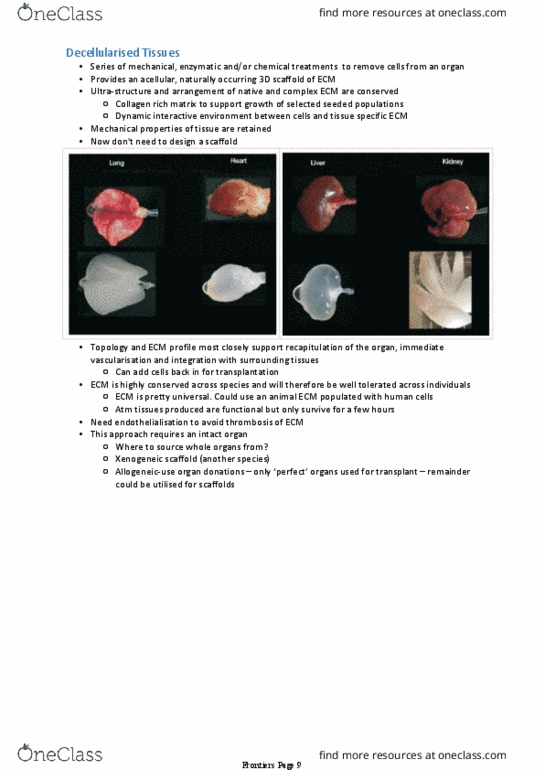 BIOM30001 Lecture Notes - Lecture 15: 3D Cell Culture, Xenotransplantation, Collagen thumbnail