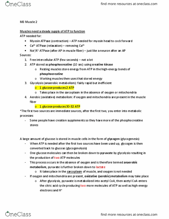 PHSI 208 Lecture Notes - Lecture 19: Acetyl-Coa, Creatine Kinase, Phosphocreatine thumbnail