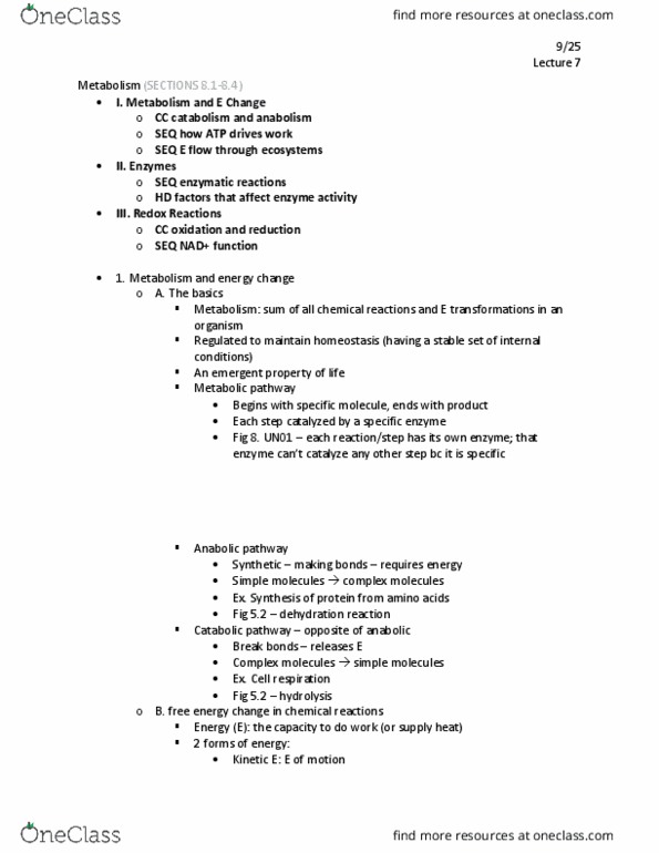 01:119:115 Lecture Notes - Lecture 7: Metabolic Pathway, Atp Hydrolysis, Dehydration Reaction thumbnail