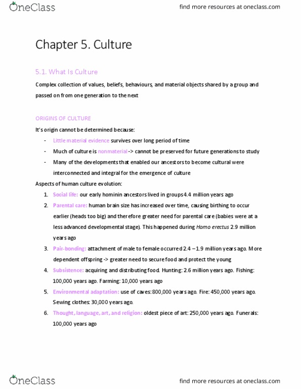 SOCA03Y3 Chapter Notes - Chapter 5: Homo Erectus, Ethnocentrism, Downtown Eastside thumbnail