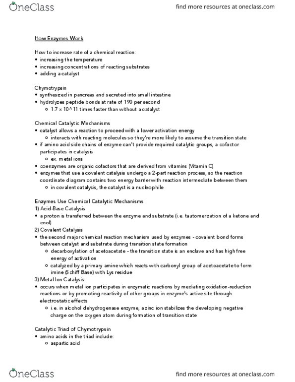 BIOCHEM 3G03 Lecture Notes - Lecture 6: Enzyme Catalysis, Acetoacetic Acid, Schiff Base thumbnail