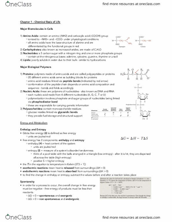 BIOCHEM 3G03 Lecture Notes - Lecture 1: Phosphodiester Bond, Monosaccharide, Cell Nucleus thumbnail