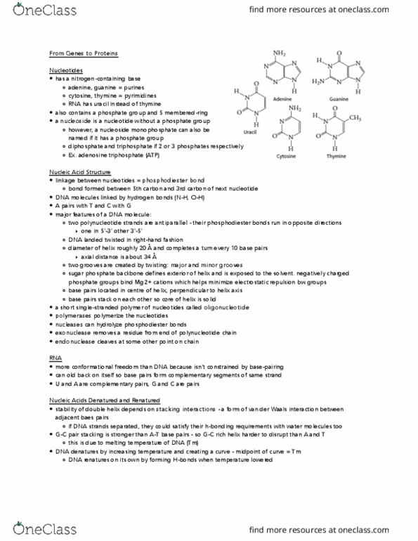 BIOCHEM 3G03 Lecture Notes - Lecture 3: Phosphodiester Bond, Complementary Dna, Polynucleotide thumbnail