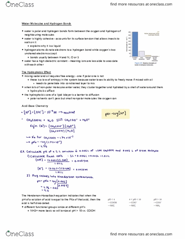 BIOCHEM 3G03 Lecture Notes - Lecture 2: Relative Permittivity, Liquid Hydrogen, Lipid Bilayer thumbnail