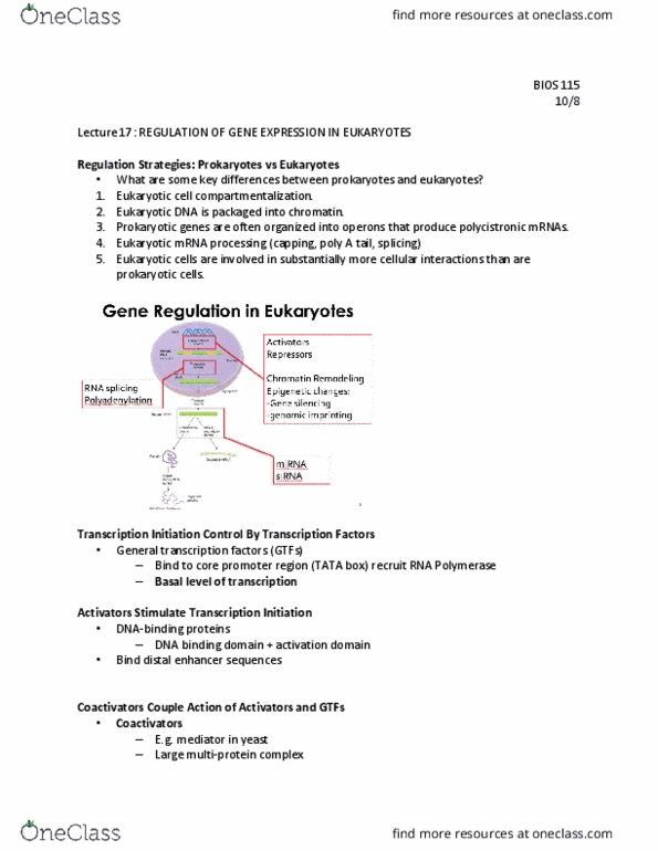 BIOS-115 Lecture Notes - Lecture 17: Dna-Binding Domain, Tata Box, Eukaryote thumbnail