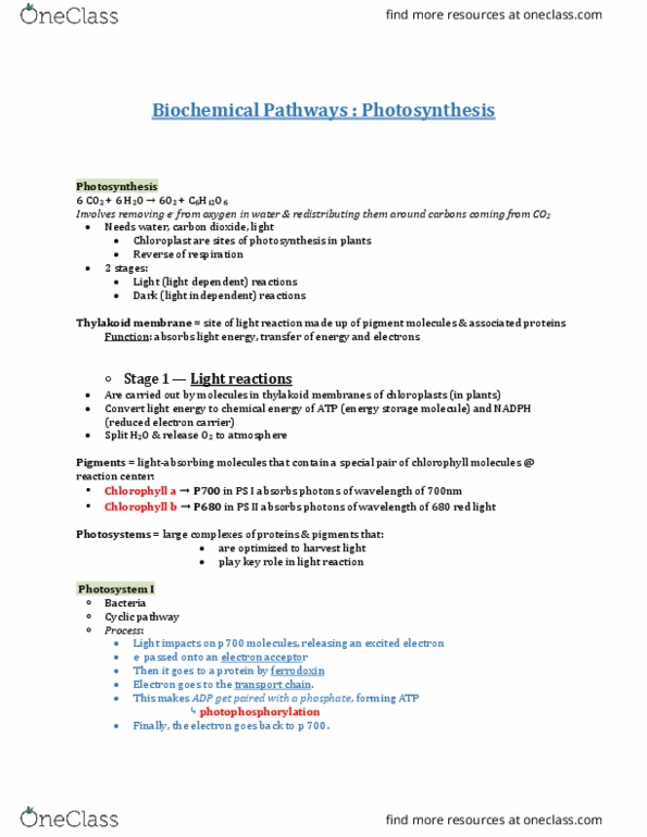 AEBI 120 Lecture Notes - Lecture 11: Photosystem Ii, P700, Ferredoxin thumbnail