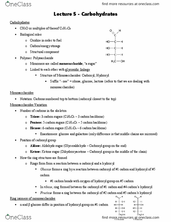 BIOL 1020 Lecture Notes - Lecture 5: Glycosidic Bond, Monosaccharide, Dihydroxyacetone thumbnail